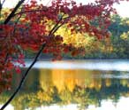 Walden Pond Image