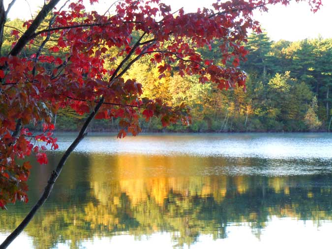 Walden Pond in Autumn III