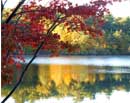 Walden Pond in Autumn III