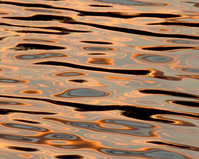 Gold & Black Water Patterns